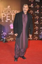 Puneet Issar at Colors Golden Petal Awards 2013 in BKC, Mumbai on 14th Dec 2013